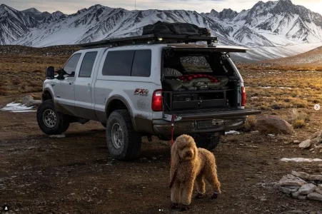 Screen Shot 2022-04-08 at 6.06.03 PM.webp