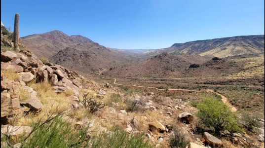 Screenshot_20220502-111007_Gallery.webp Screenshot_20220502-111007_Gallery.webp