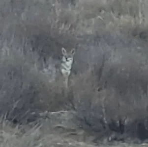 IMG_20211012_182124_108.webp IMG_20211012_182124_108.webp