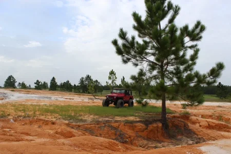 IMG_4196.webp IMG_4196.webp