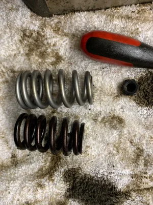 IMG_6534.jpg IMG_6534.jpg