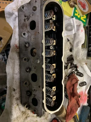 IMG_6533.jpg IMG_6533.jpg