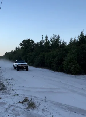 IMG_3633 (1).jpg IMG_3633 (1).jpg