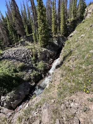 FD206AB6-563F-46A8-BD24-C4DCBDA3247C.jpeg