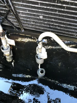 IMG_4832.webp IMG_4832.webp