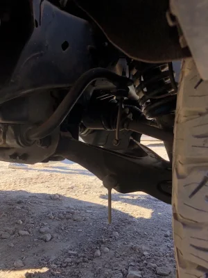 broken.webp broken.webp