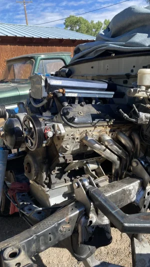 IMG_2144.webp IMG_2144.webp