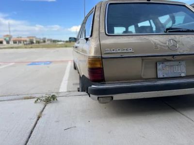 97F77CC2-7742-4E8E-86D7-6A361A6F35ED.webp 97F77CC2-7742-4E8E-86D7-6A361A6F35ED.webp