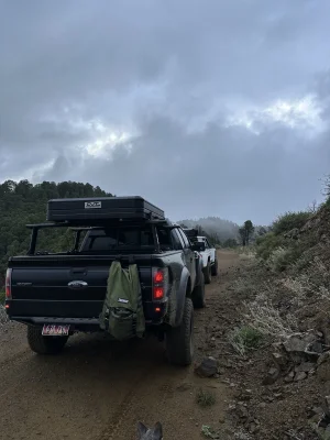 trash.webp trash.webp