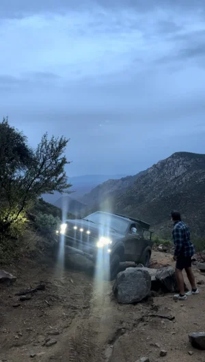 flexin.webp flexin.webp