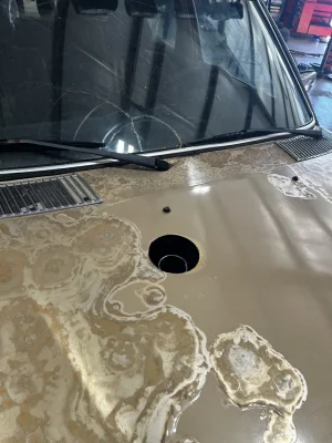 149BC97A-CCF2-444F-9007-949489D6A85F.webp 149BC97A-CCF2-444F-9007-949489D6A85F.webp