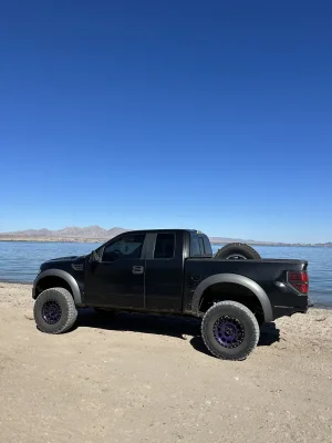 shakedown.webp shakedown.webp