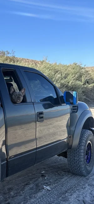 tapedup.webp tapedup.webp