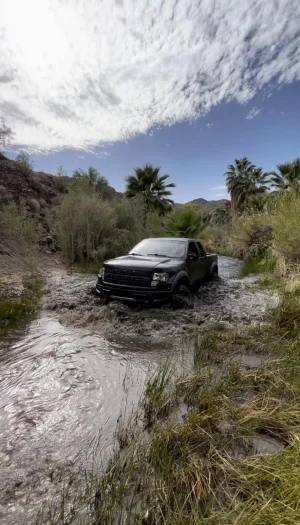 mudbog.webp mudbog.webp