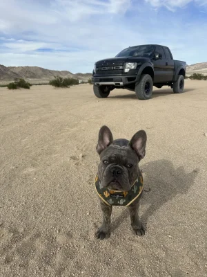 postedup.webp postedup.webp