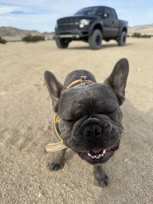 stick.jpg