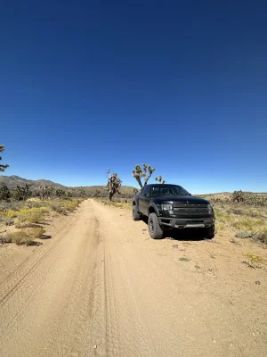 joshuatreesfront.webp joshuatreesfront.webp