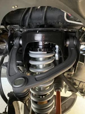 IMG_9914.jpeg IMG_9914.jpeg