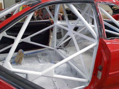 Fresh cage paint (droool).jpg