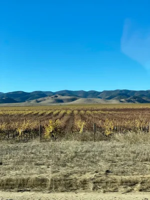 1701116744193.webp 1701116744193.webp