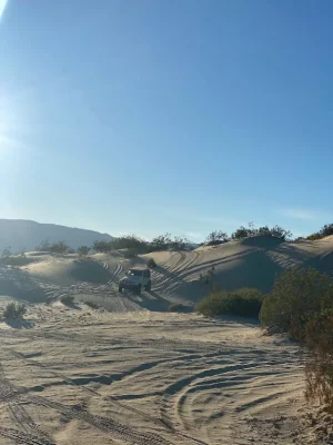 1701116966894.webp 1701116966894.webp