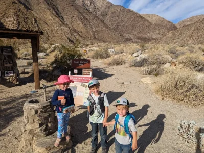 1701117391060.webp 1701117391060.webp