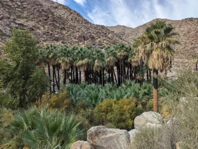 1701117526455.webp 1701117526455.webp