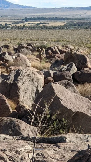 1701117650443.webp 1701117650443.webp