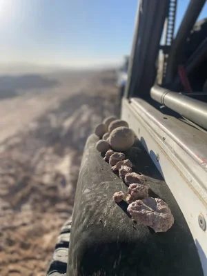 1701117943953.webp 1701117943953.webp