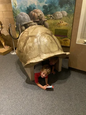 1701118924715.webp 1701118924715.webp