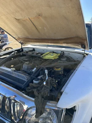 IMG_1413.jpeg IMG_1413.jpeg