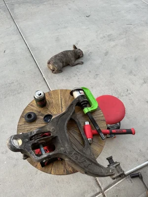 BJpress.webp BJpress.webp