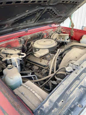 IMG_5838.webp IMG_5838.webp