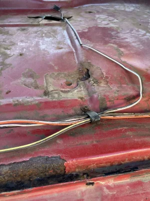 IMG_5944.webp IMG_5944.webp