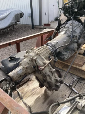 IMG_5959.webp IMG_5959.webp