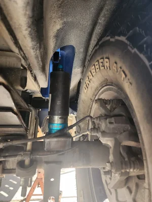 1000003630.webp 1000003630.webp