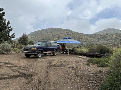 IMG_7538.JPG