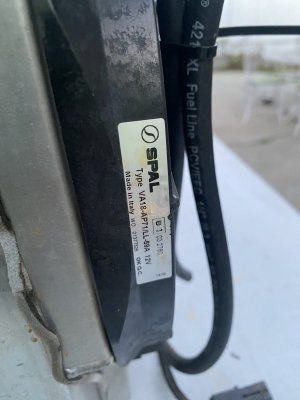 IMG_8398.jpeg