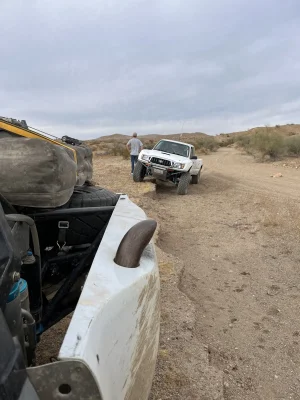 IMG_5597.webp IMG_5597.webp