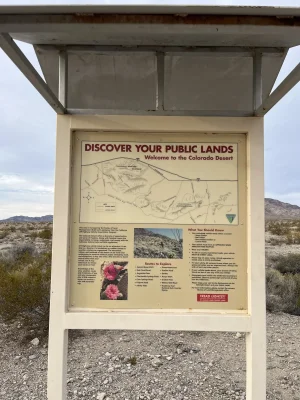 IMG_5606.webp IMG_5606.webp