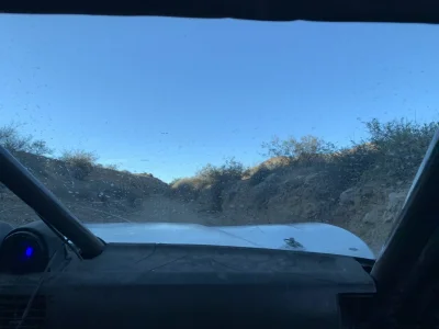 IMG_9084.jpeg IMG_9084.jpeg