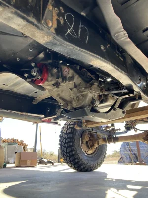 IMG_6041.jpeg IMG_6041.jpeg