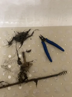 IMG_1617.webp IMG_1617.webp