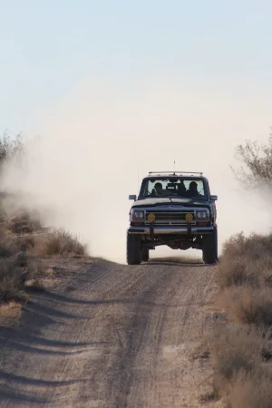 IMG_20211130_091722_442.webp IMG_20211130_091722_442.webp