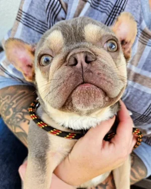 image000000 (2).webp