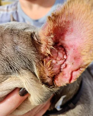 image000002 (1).webp