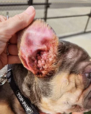 image000001 (1).webp