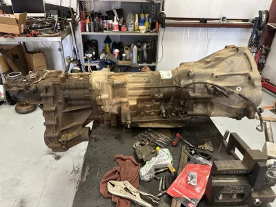 IMG_9519.webp IMG_9519.webp