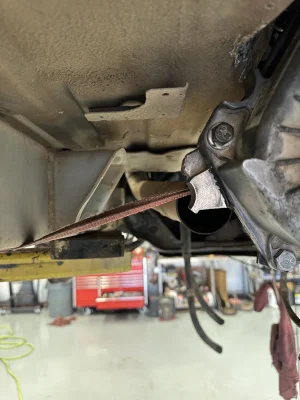 IMG_9525.webp IMG_9525.webp