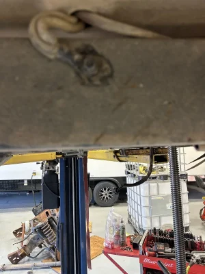 IMG_9526.webp IMG_9526.webp